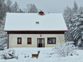 Dom Na Pstrążnicy, Kudowa-Zdrój